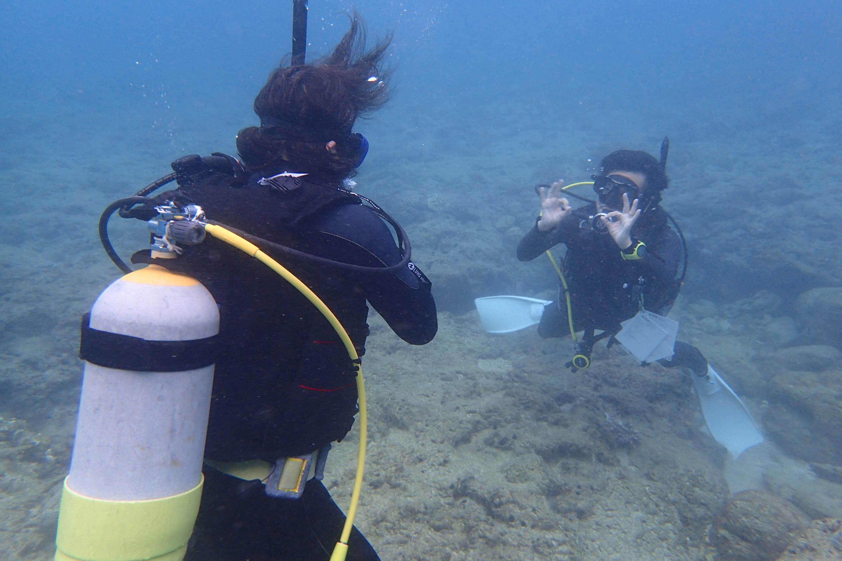 アドバンスドダイバー 画像1