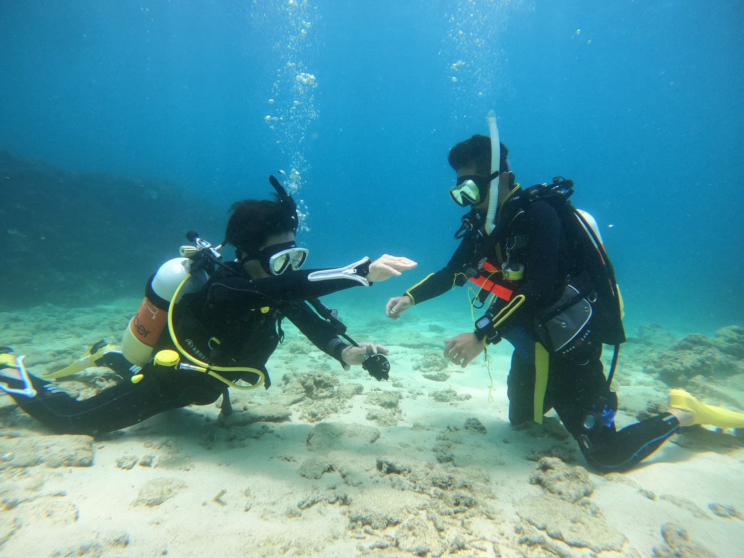 ライセンス講習 画像1