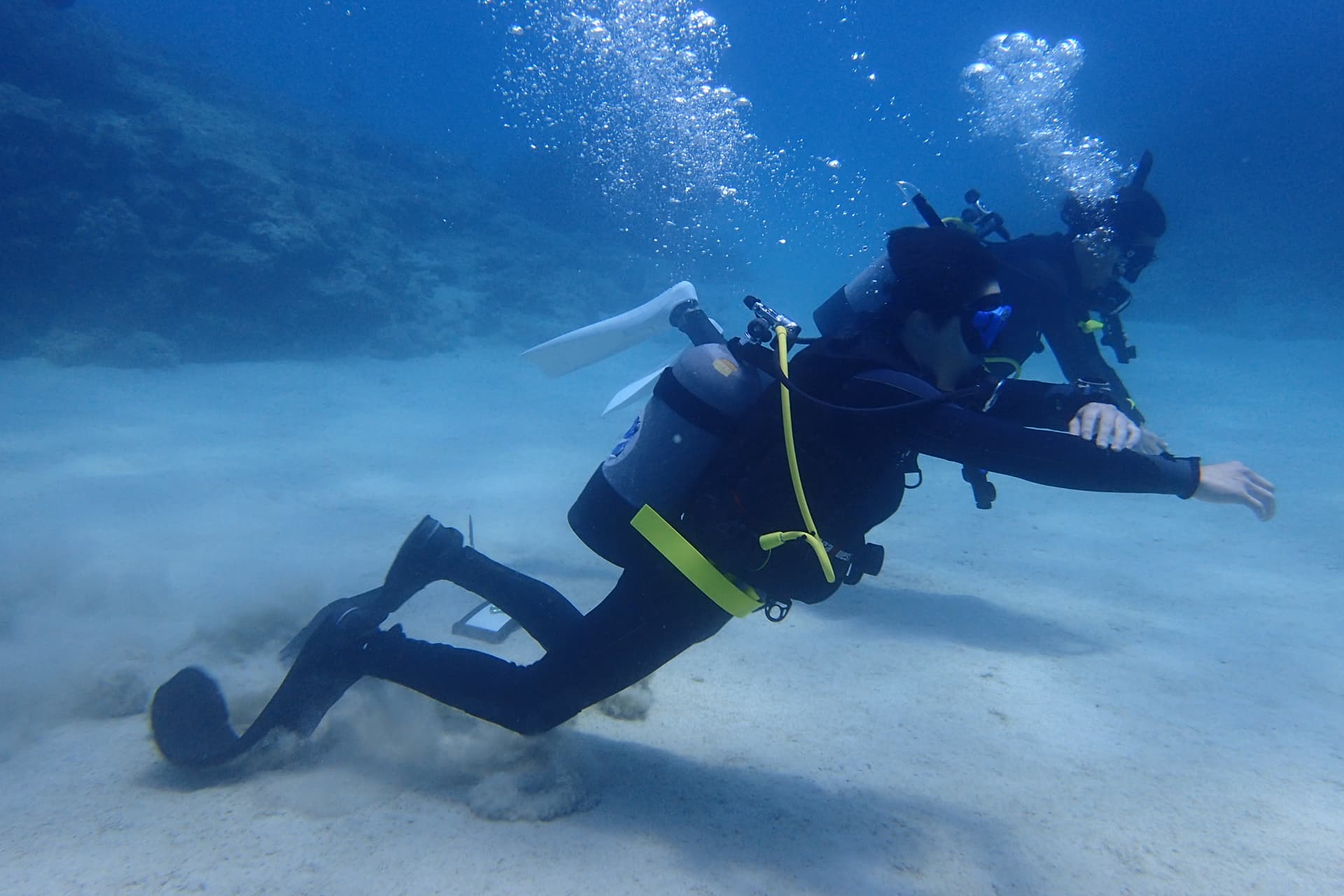 ライセンス講習 画像2