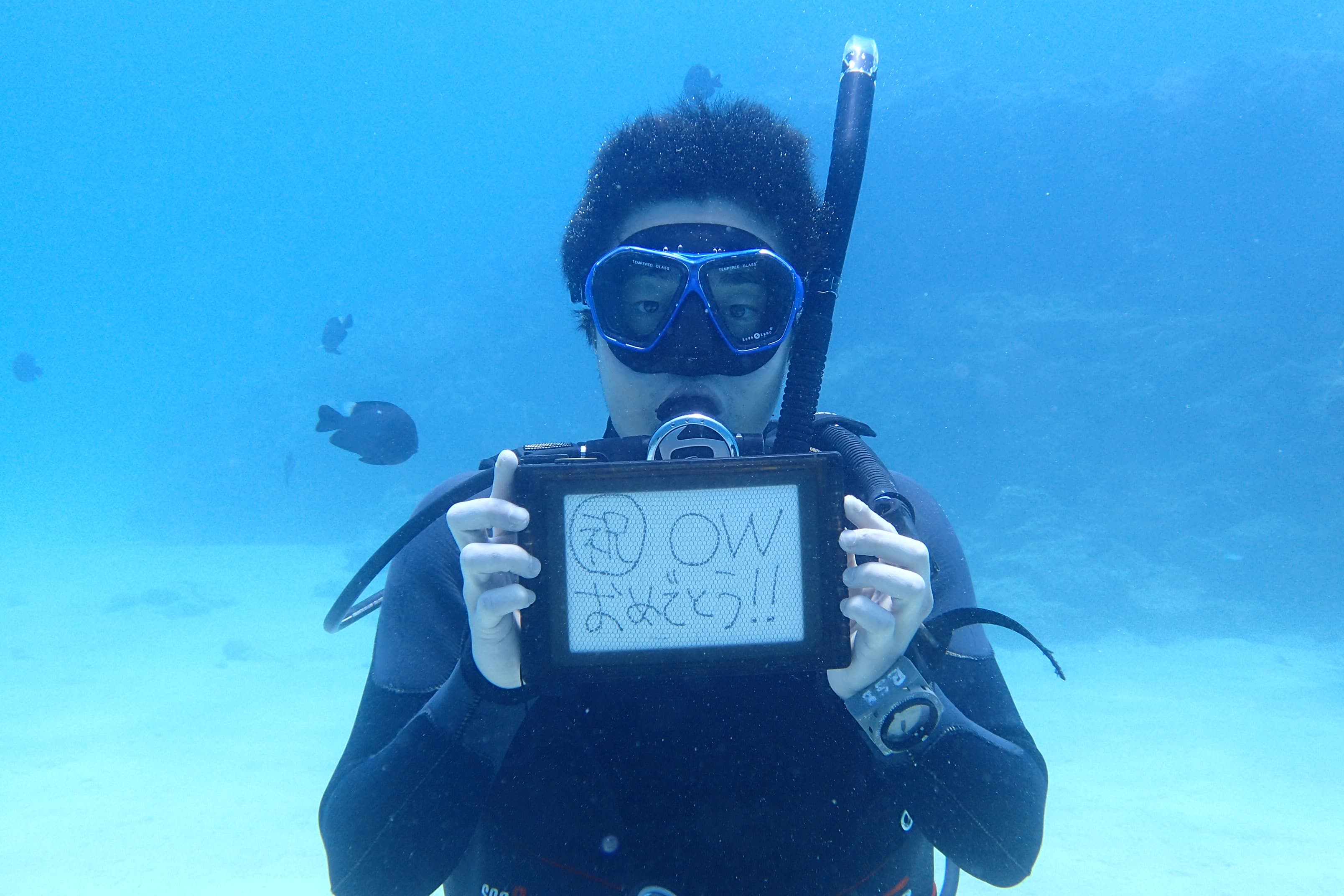 オープンウォーターダイバー 画像1