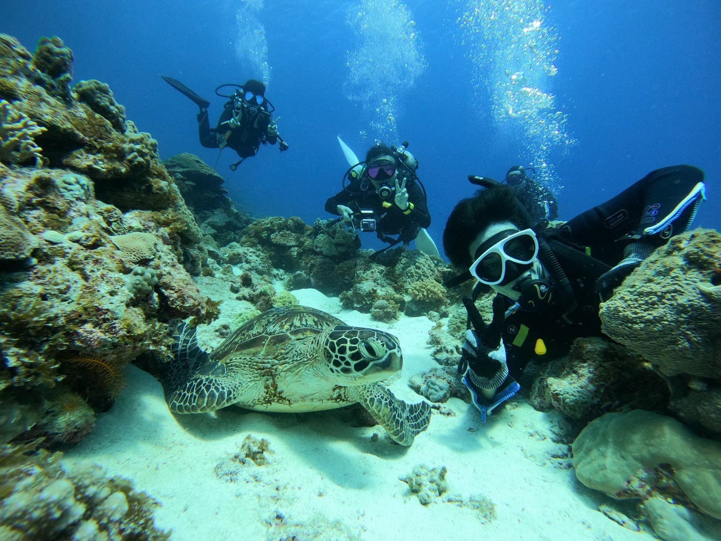 ダイビング風景4