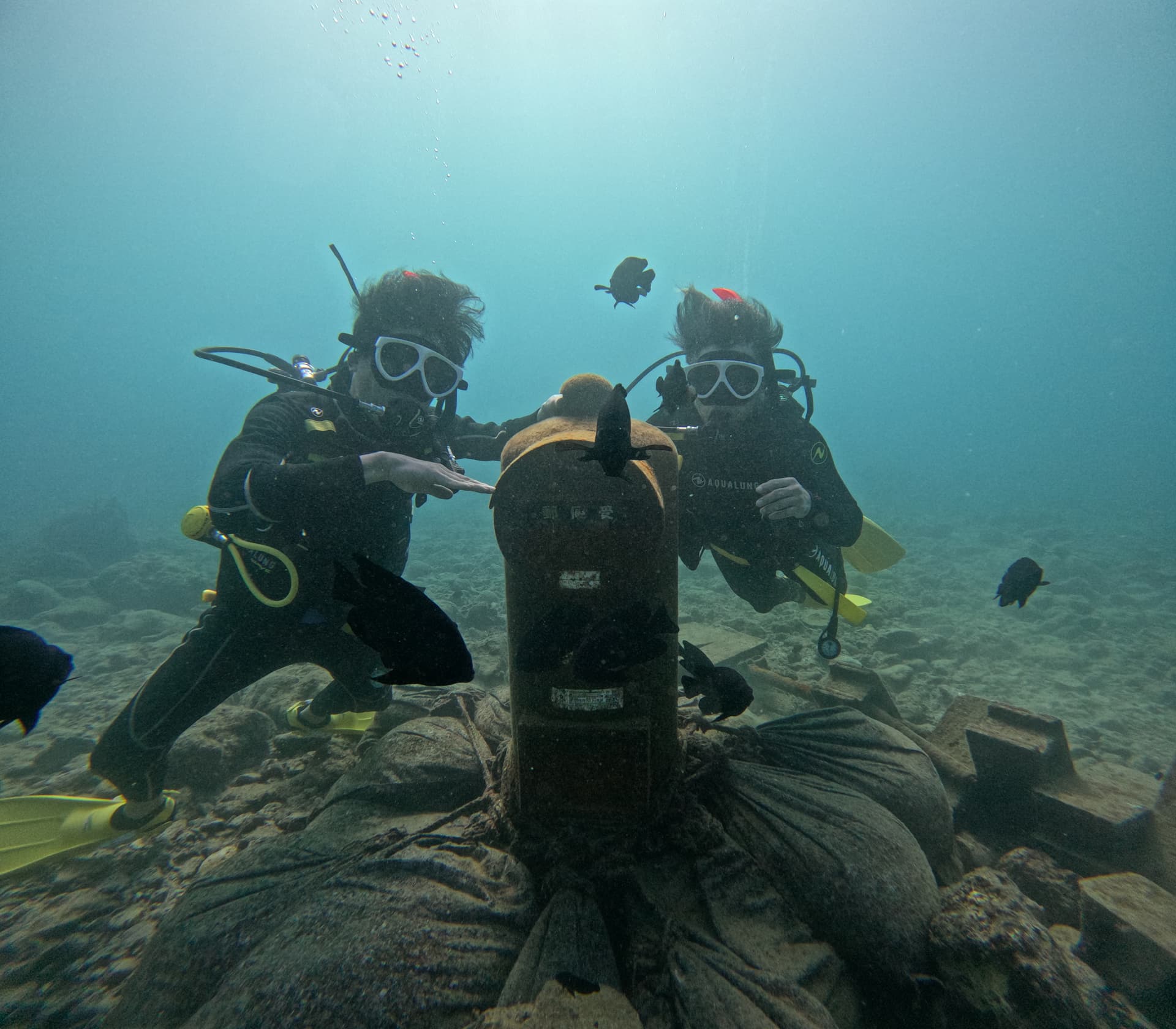 ファンダイブ 慶良間・各ビーチポイント 画像