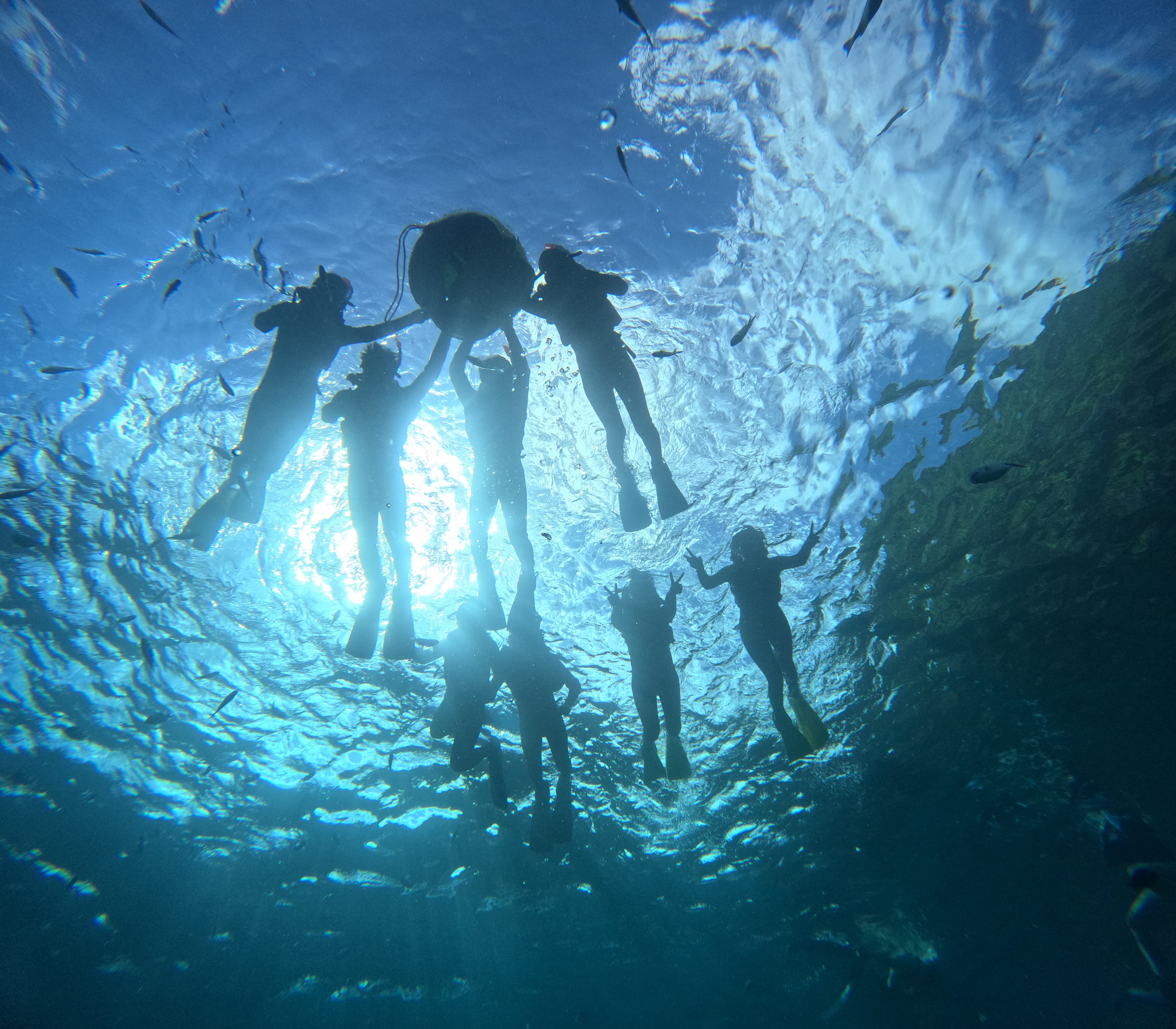 シュノーケル 画像3