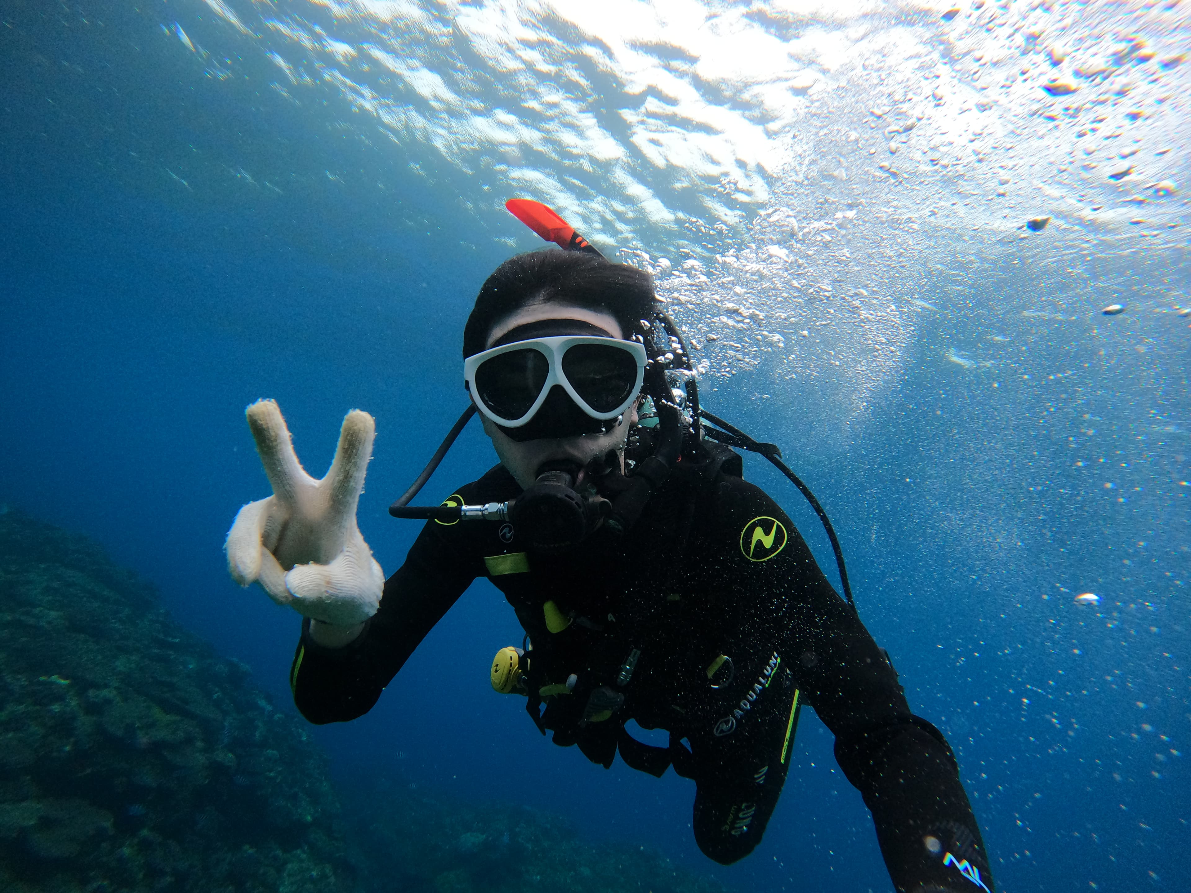 体験ダイビング 画像3