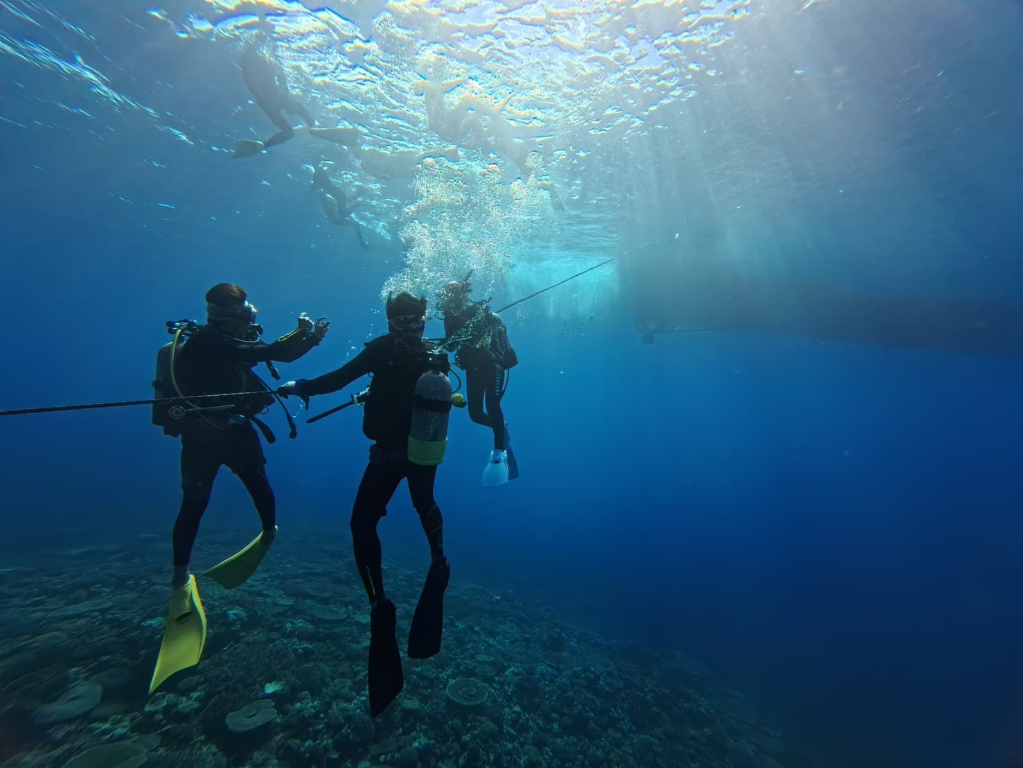 ファンダイビング 画像3