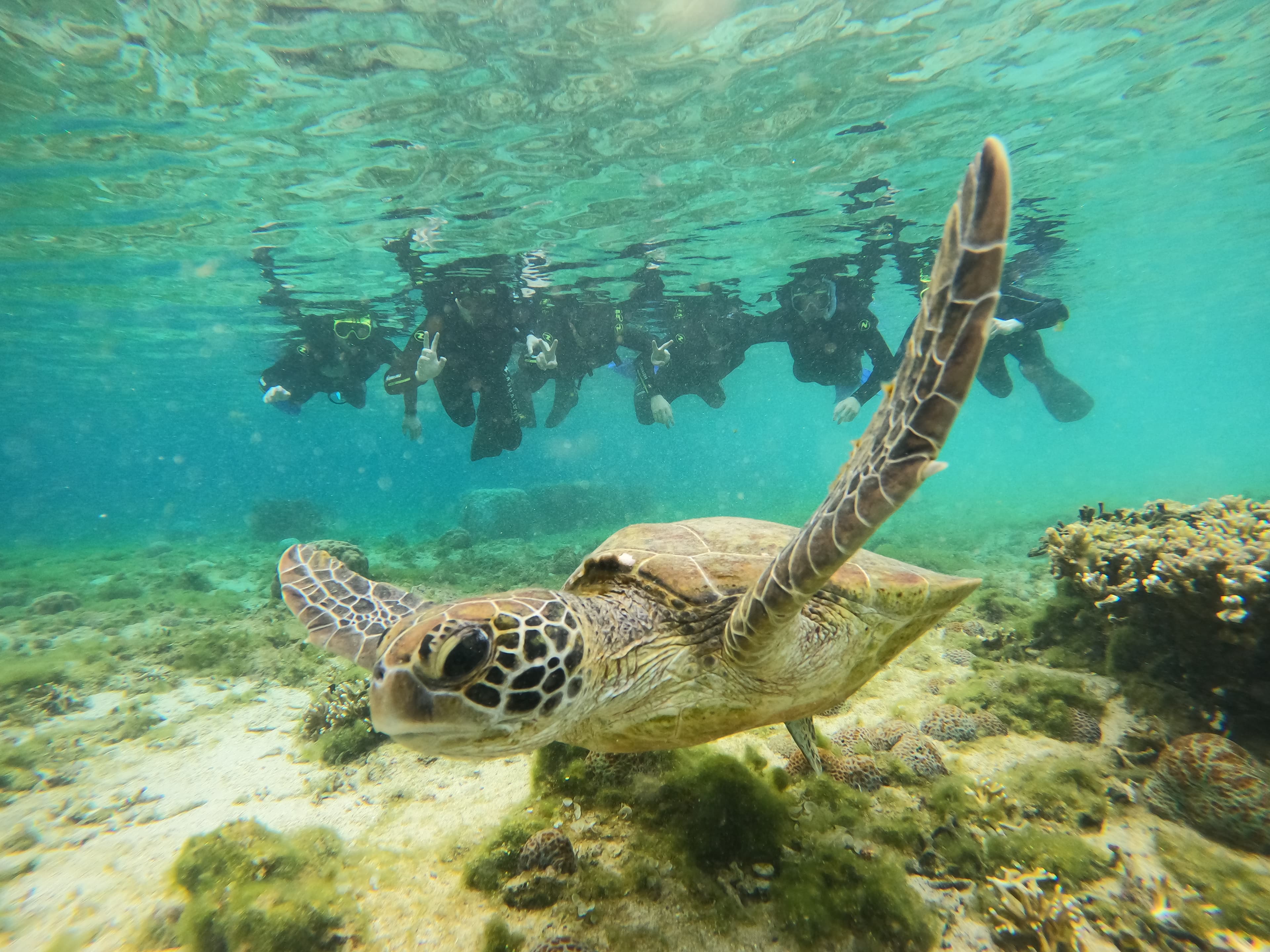 シュノーケル 画像2