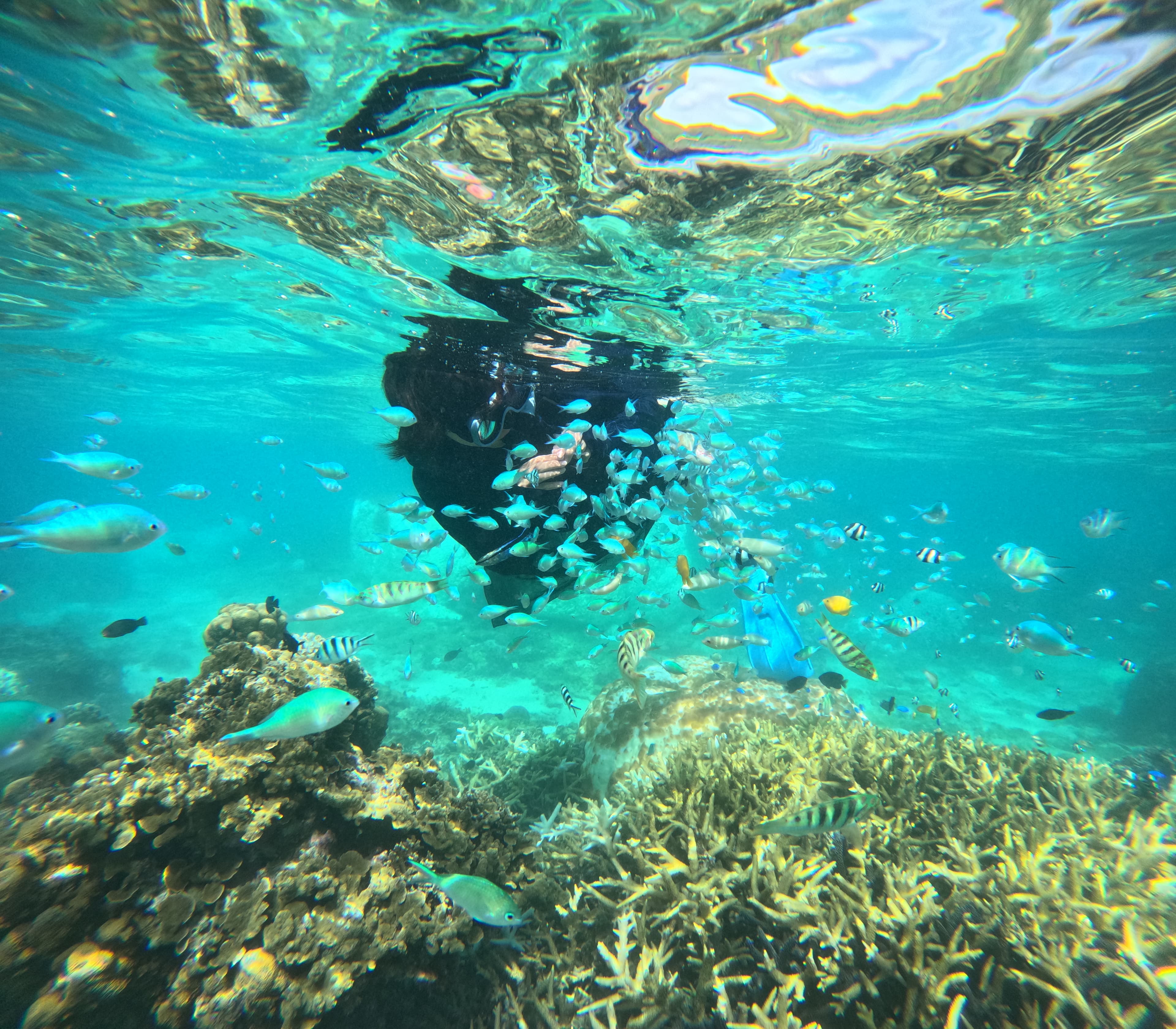 シュノーケル 画像3