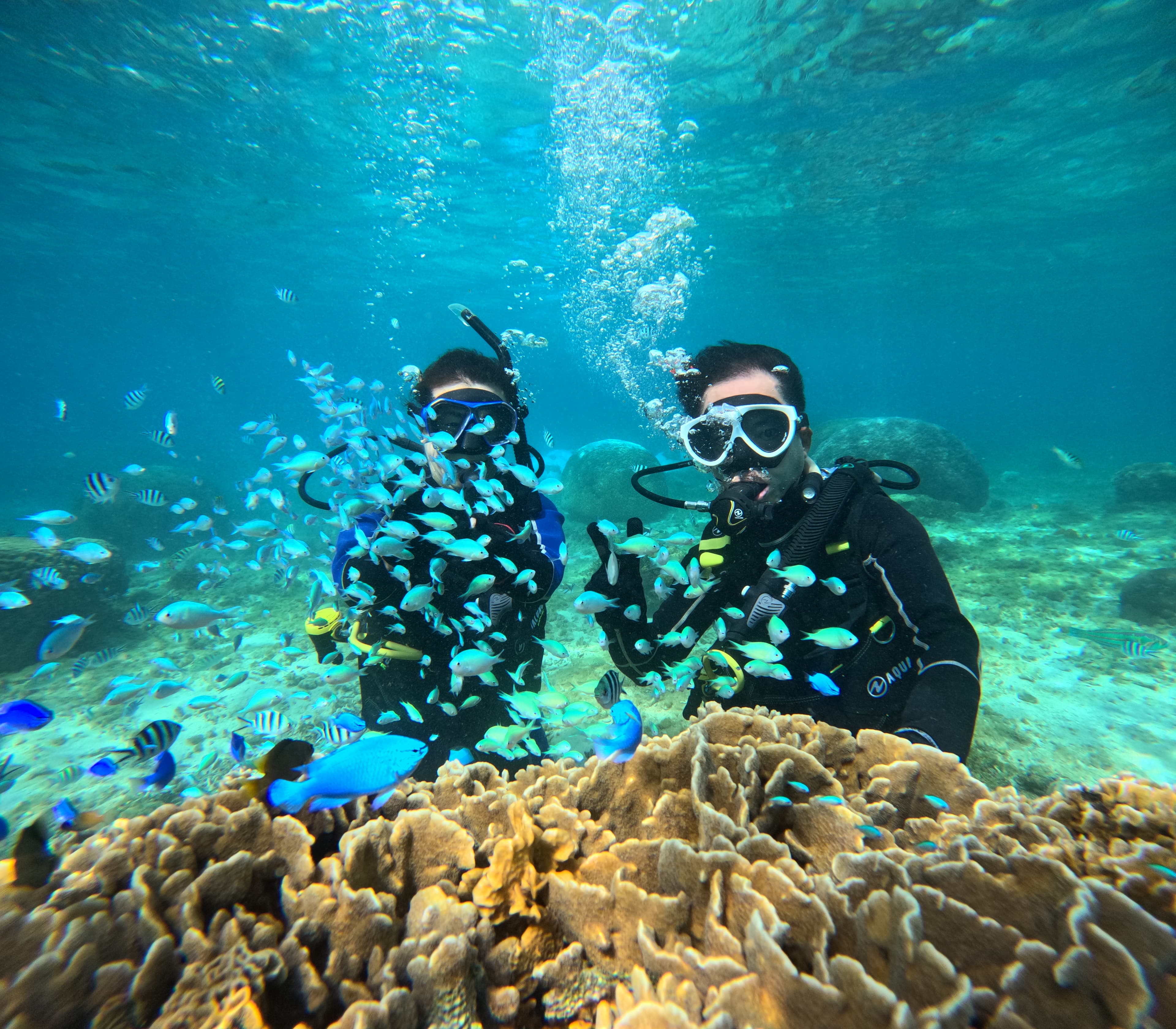 体験ダイビング 画像1